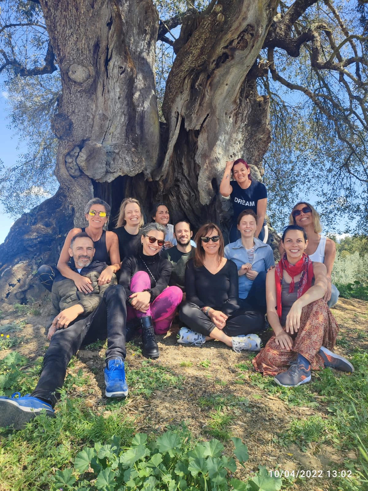 Grupo de Constelações Familiares reunido sob uma oliveira centenária